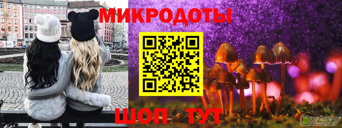 Фрязино  Псилоцибиновые грибы Psilocybe  Вход с VPN 