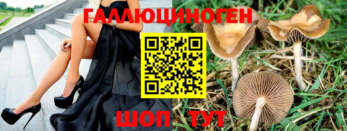 Галлюциногенные грибы мицелий Фрязино